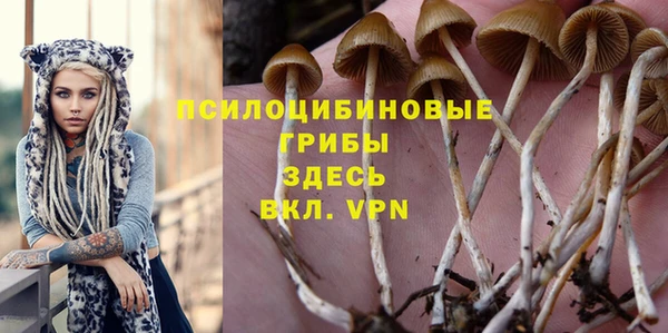 мет Абаза