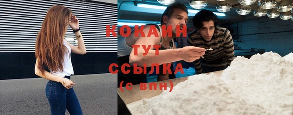 молекула духа Каменногорск