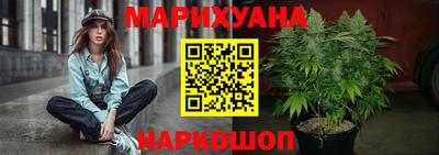 крисы Краснодар