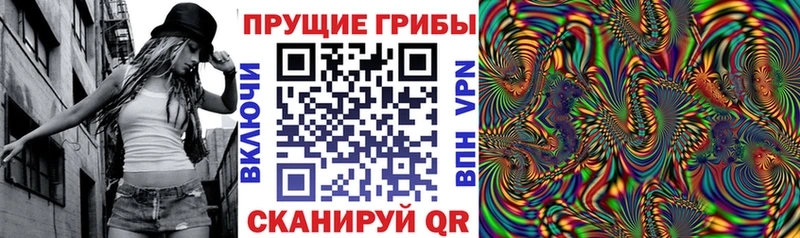 купить наркоту  Советск  Галлюциногенные грибы MAGIC MUSHROOMS 