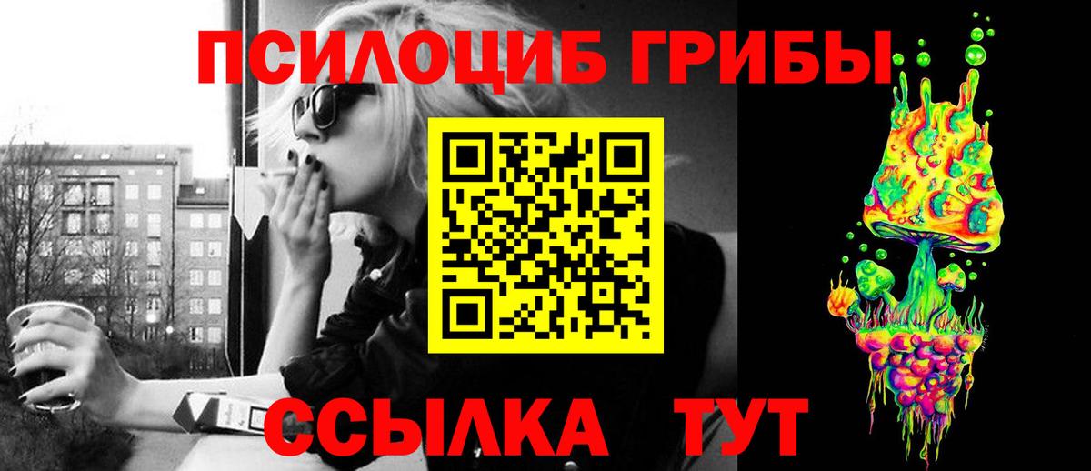 Советск  Псилоцибиновые грибы Magic Shrooms  Псилоцибиновые грибы Magic Shrooms  Вход с VPN 