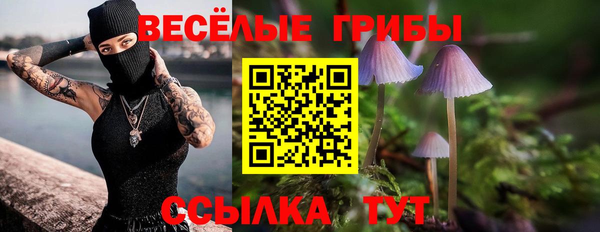 Псилоцибиновые грибы GOLDEN TEACHER  Вход с VPN  Советск 