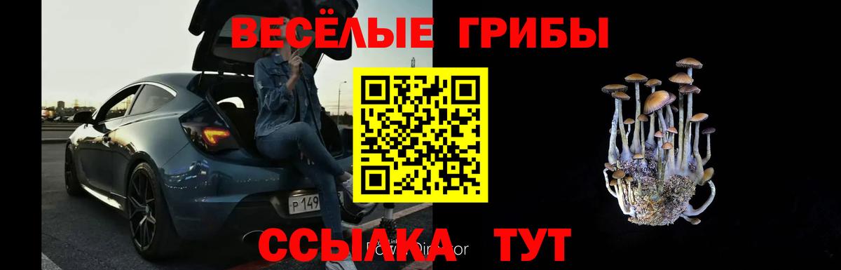 Галлюциногенные грибы Psilocybine cubensis Советск